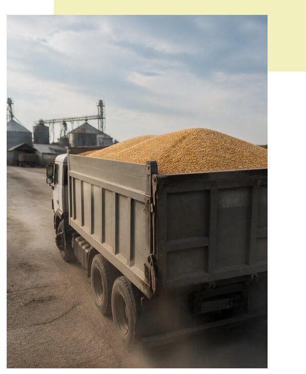 Перевозка сельхозпродукции навалом в Кингисепп по цене от 3115 р. | Агросервис-Кгп